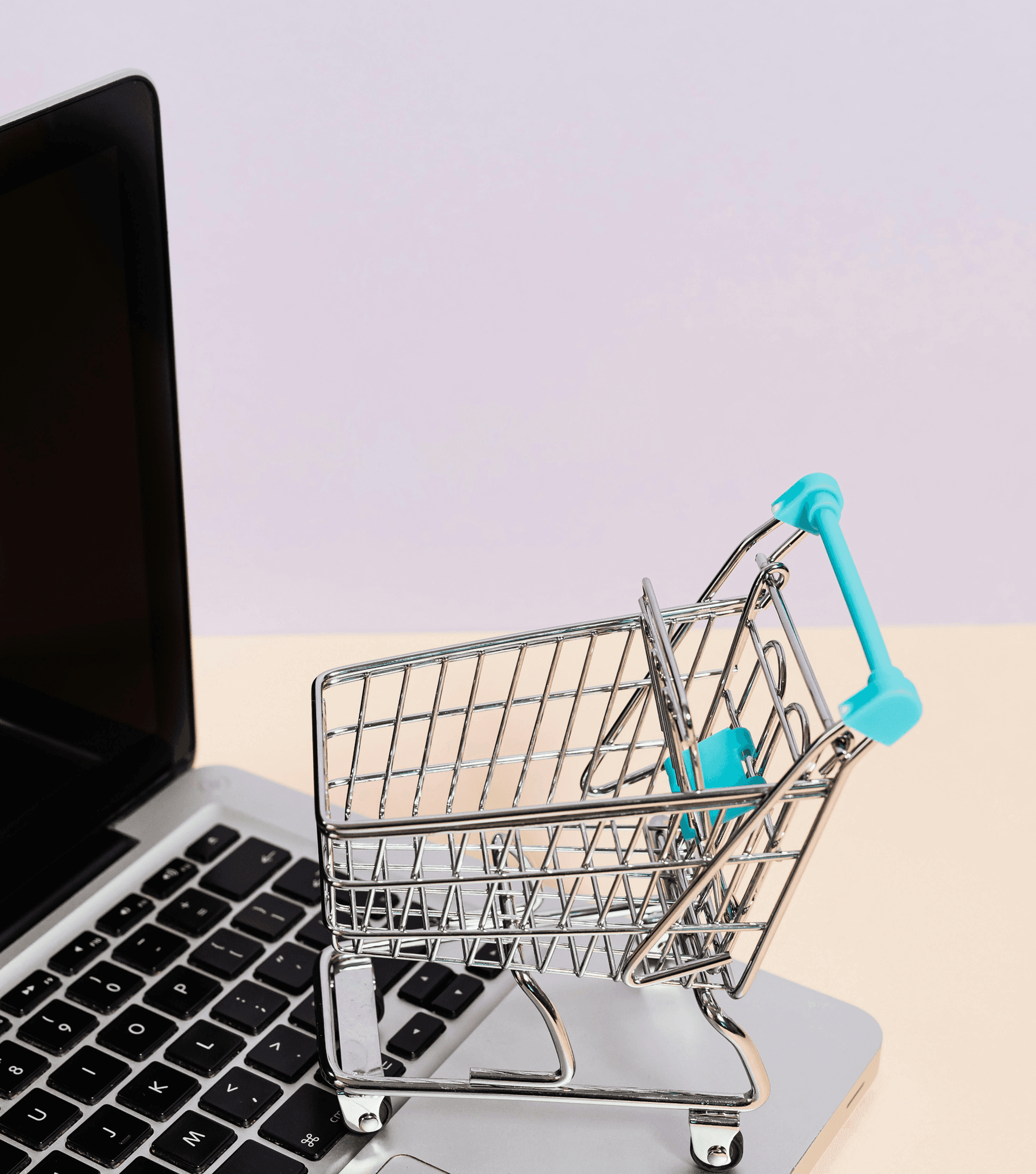 Ecommerce App Development